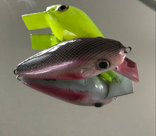 Load image into Gallery viewer, Lure
